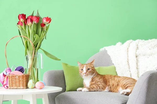 Милая Кошка Кресле Стол Пасхальными Яйцами Тюльпанами Возле Зеленой Стены — стоковое фото