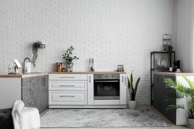 Interior of light kitchen with white counters, electric oven and houseplants