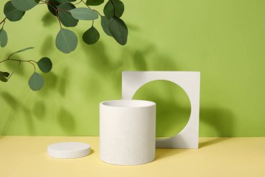 Plaster podiums and eucalyptus branches on green background