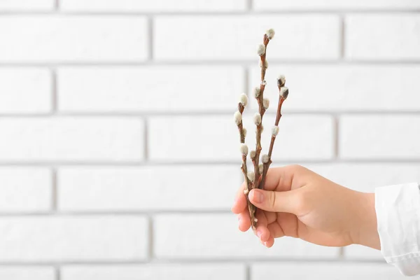 Woman Holding Willow Branches White Brick Wall — Stock Photo, Image