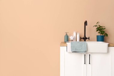 Table with sink, bath accessories and houseplant near beige wall