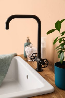 Table with sink, bath accessories and houseplant near beige wall, closeup