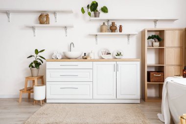 Interior of light bathroom with sink, counters and shelves