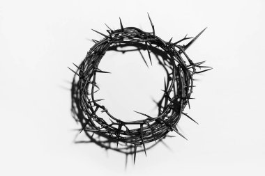 Crown of thorns on light background, top view