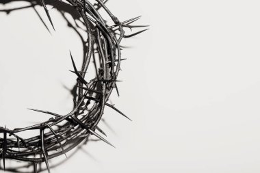 Crown of thorns on light background, top view