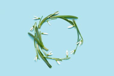 Frame made of beautiful snowdrops on blue background