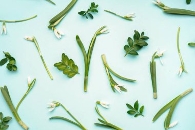 Composition with beautiful snowdrops on blue background