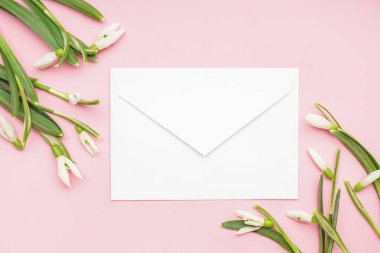 Beautiful snowdrops and envelope on pink background