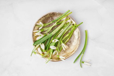 Plate with beautiful snowdrops on grey grunge background