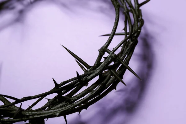 Crown of thorns on lilac background, closeup