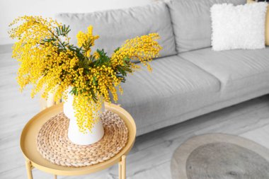 Mimoza çiçekli vazo açık oturma odasında.