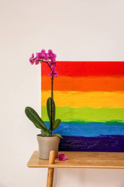 LGBT bayrağı ve çiçeğin açık duvarın yanındaki rafta resmedilmesi