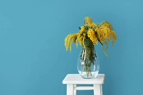 Florero Con Flores Mimosas Sobre Fondo Color — Foto de Stock
