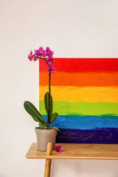 Painting Lgbt Flag Flower Shelf Light Wall — Stock Photo, Image