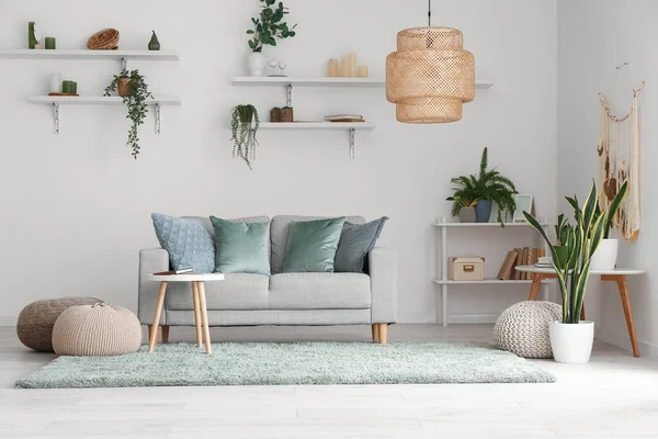 Interior Ruang Tamu Terang Dengan Tanaman Rumah Tangga Hijau Sofa — Stok Foto