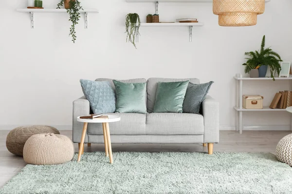 Interior Light Living Room Green Houseplants Sofa Table — Stock Photo, Image