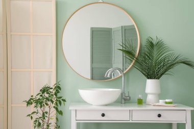 Banyonun içinde aynanın yanında seramik lavabo ve bitkiler var.