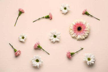 Güzel gerbera, kasımpatı ve bej arka planda karanfil çiçekleri.