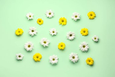 Renkli arkaplanda beyaz ve sarı çiçekli kompozisyon