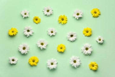 Renkli arkaplanda beyaz ve sarı çiçekli kompozisyon