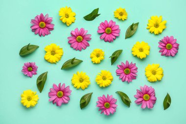 Renkli arka planda güzel kasımpatı çiçekleri ve bitki yapraklarıyla kompozisyon