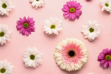 Pembe arka planda farklı çiçekler olan güzel bahar kompozisyonu