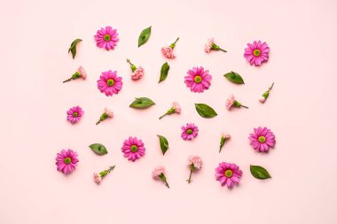 Güzel çiçekli kompozisyon ve pembe arka planda bitki yaprakları