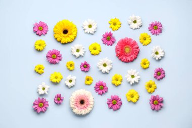 Açık arkaplanda farklı çiçekler olan güzel bir kompozisyon