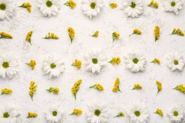 Güzel papatya çayı ve açık arkaplanda mimoza çiçekleri olan kompozisyon