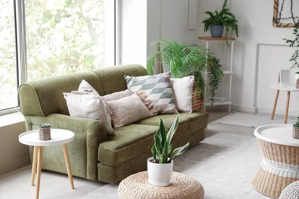 Interior Cozy Living Room Green Sofa Tables Houseplants — Stock Photo, Image