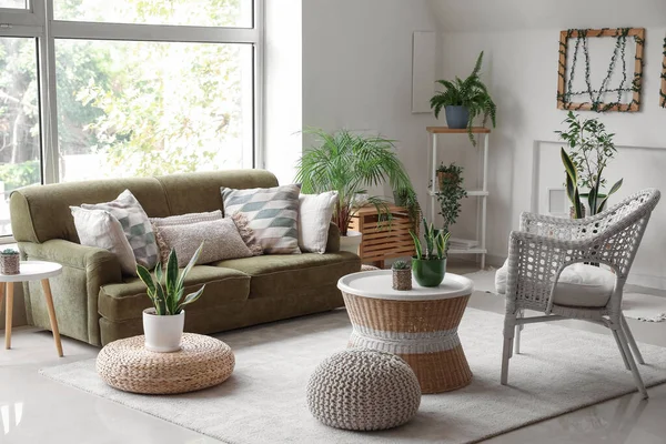 Interior of cozy living room with green sofa, armchair and houseplants