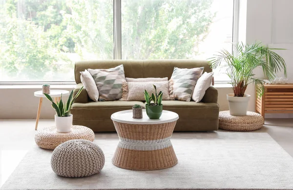 Interior Cozy Living Room Green Sofa Poufs Houseplants — Stock Photo, Image