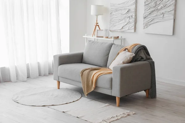 Interior Ruang Tamu Modern Dengan Sofa Unit Rak Dan Karya — Stok Foto