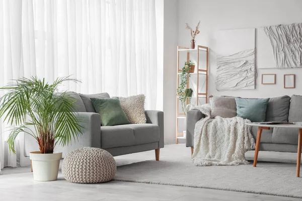Interior Ruang Tamu Modern Dengan Sofa Meja Dan Karya Seni — Stok Foto