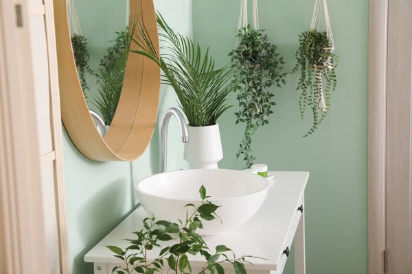 Interior Bathroom Houseplants Ceramic Sink Mirror — Stock Photo, Image