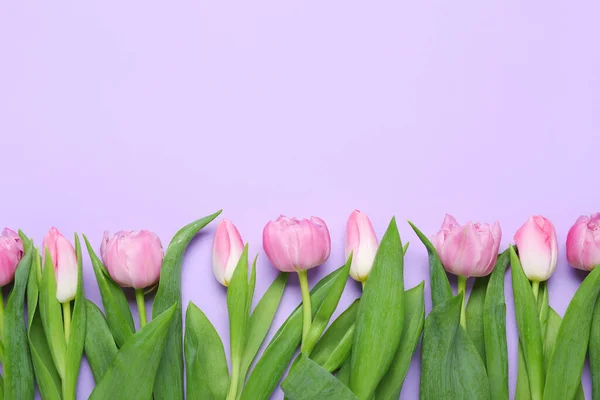 Leylak Arka Planında Güzel Lale Çiçekleri Olan Kompozisyon Anneler Günü — Stok fotoğraf