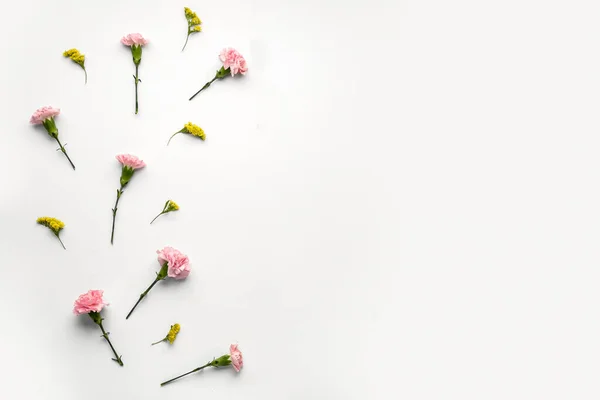 Çiçek Açan Karanfil Çiçekleri Beyaz Arka Planda Izole Edilmiş — Stok fotoğraf