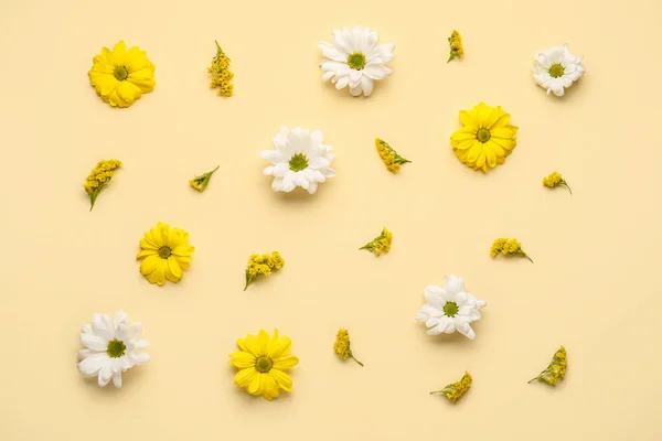 Geel Wit Chrysant Bloemen Beige Achtergrond — Stockfoto