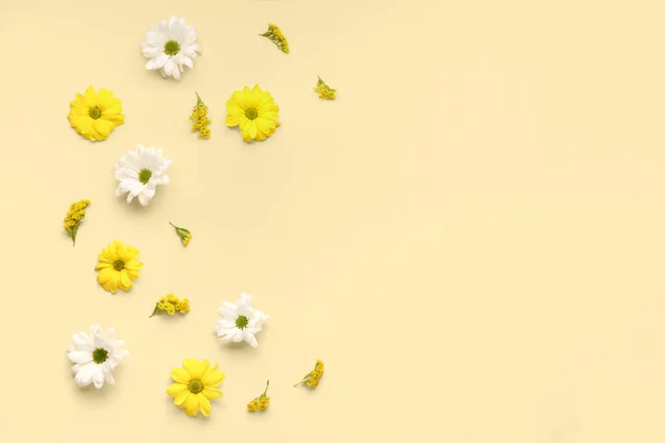 Yellow White Chrysanthemum Flowers Beige Background — Stock Photo, Image
