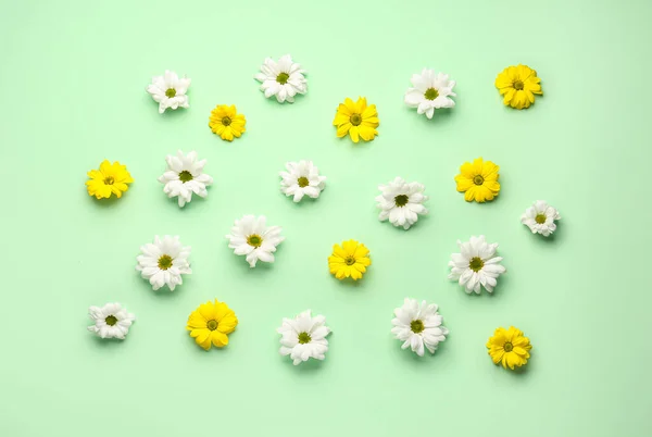 Composition White Yellow Flowers Color Background — Stock Photo, Image