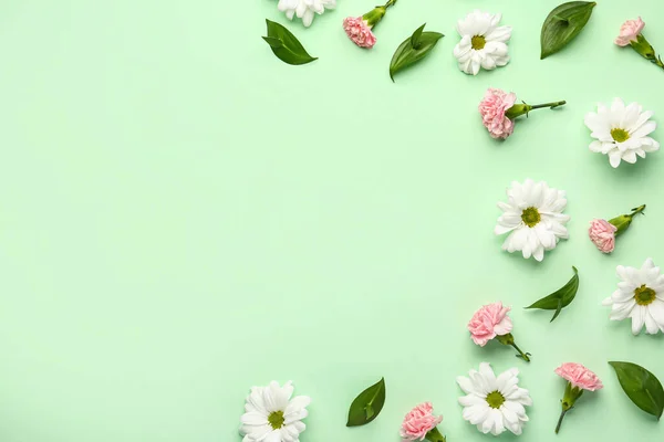 Komposition Mit Pflanzenblättern Kamille Und Nelkenblüten Auf Farbigem Hintergrund — Stockfoto