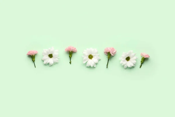 Renk Arkaplanında Papatya Karanfil Çiçekleri Olan Kompozisyon — Stok fotoğraf