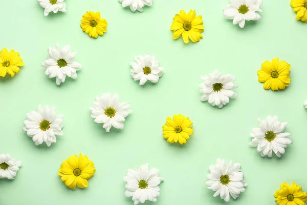 Composición Con Flores Blancas Amarillas Sobre Fondo Color — Foto de Stock