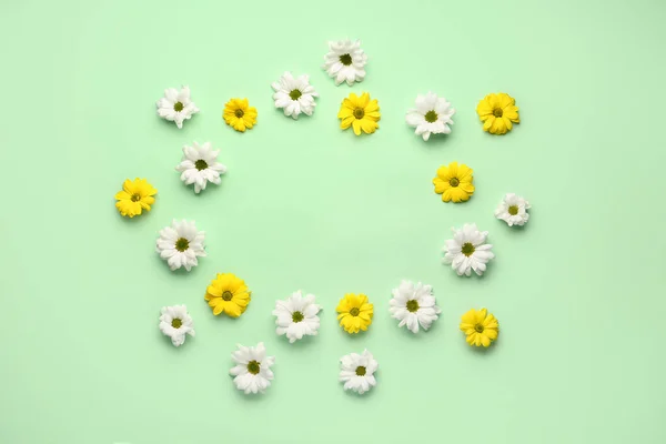 Σκελετός Από Λευκά Και Κίτρινα Λουλούδια Φόντο Χρώματος — Φωτογραφία Αρχείου
