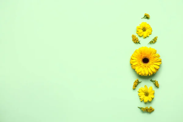 Beautiful Composition Yellow Flowers Color Background — Stock Photo, Image