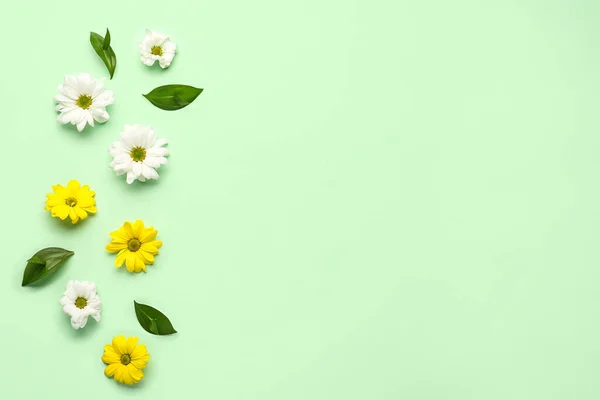 Zusammensetzung Mit Schönen Blüten Und Pflanzenblättern Auf Farbigem Hintergrund — Stockfoto