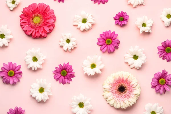 Beautiful Spring Composition Different Flowers Pink Background — Stock Photo, Image