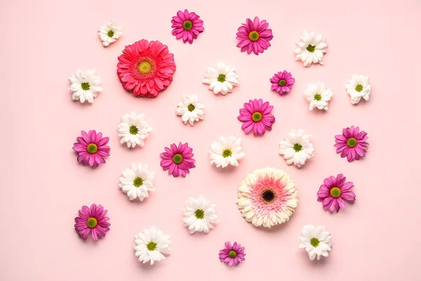Hermosa Composición Primavera Con Diferentes Flores Sobre Fondo Rosa — Foto de Stock