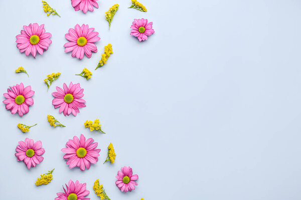 Composition with beautiful chrysanthemum and mimosa flowers on light background