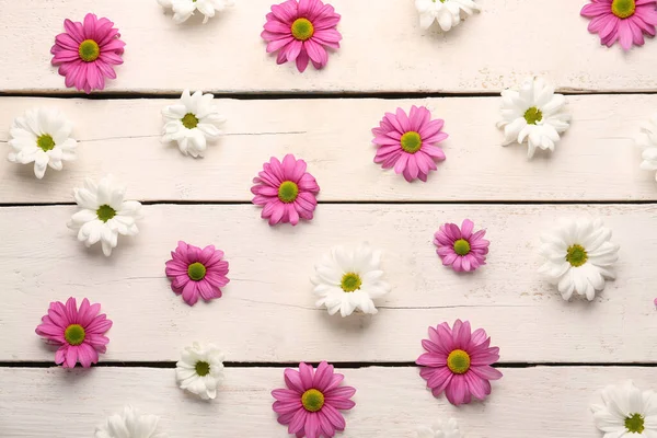 Composition Beautiful Chrysanthemum Flowers Light Wooden Background — Stock Photo, Image